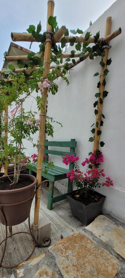 Dona Adelina House Aparthotel Ciudad Valles Kültér fotó